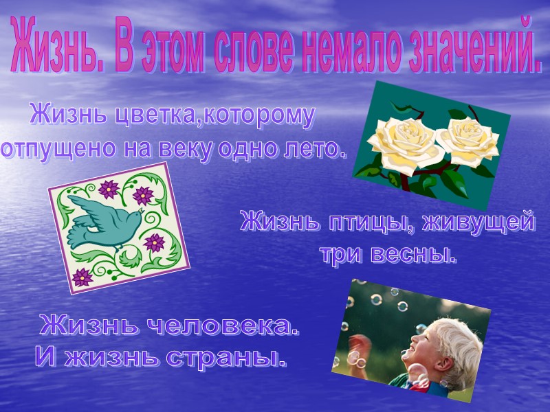 Жизнь. В этом слове немало значений. Жизнь цветка,которому отпущено на веку одно лето. Жизнь